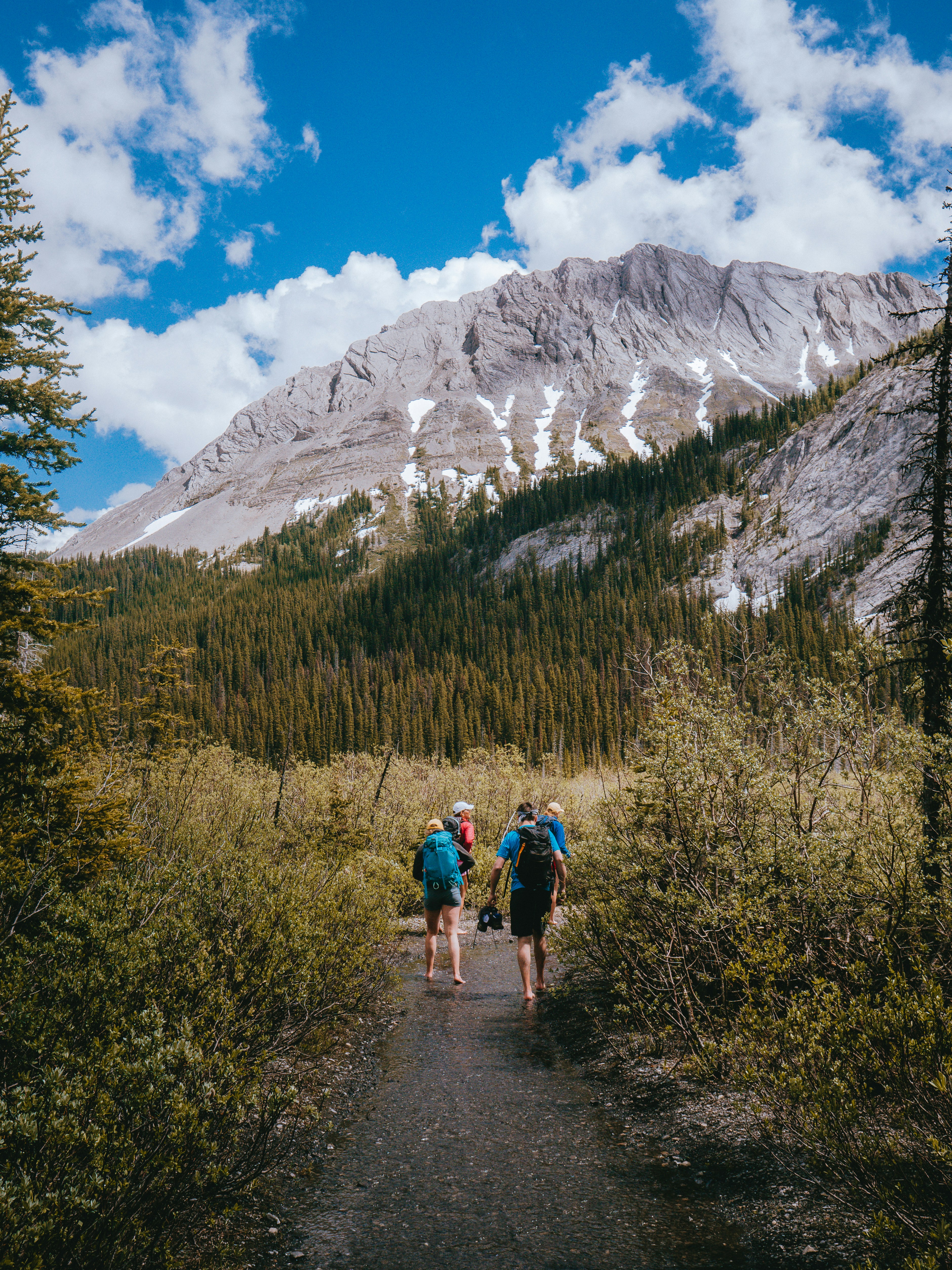 Photo by thelifeofdev