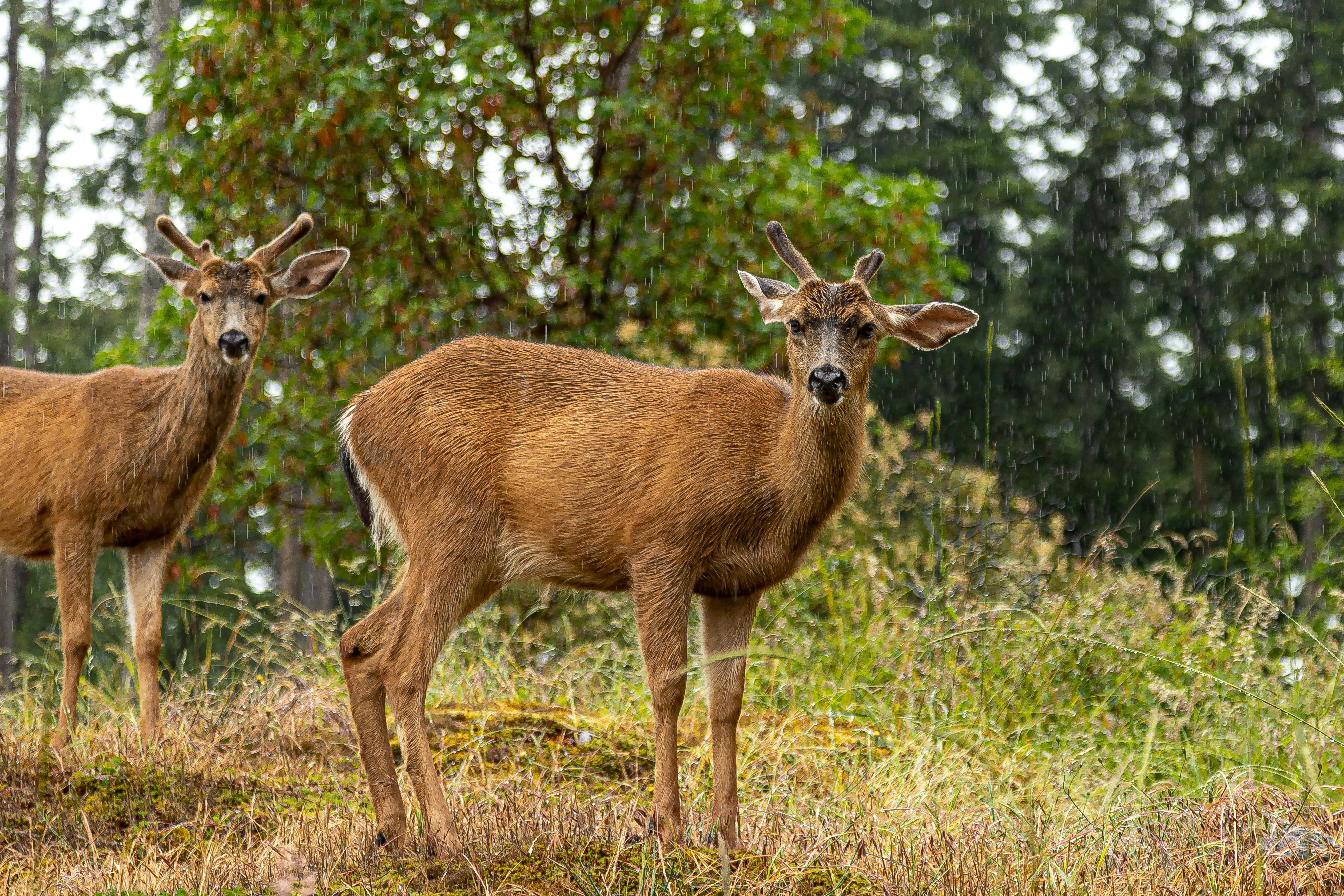 Photo by creepyhands