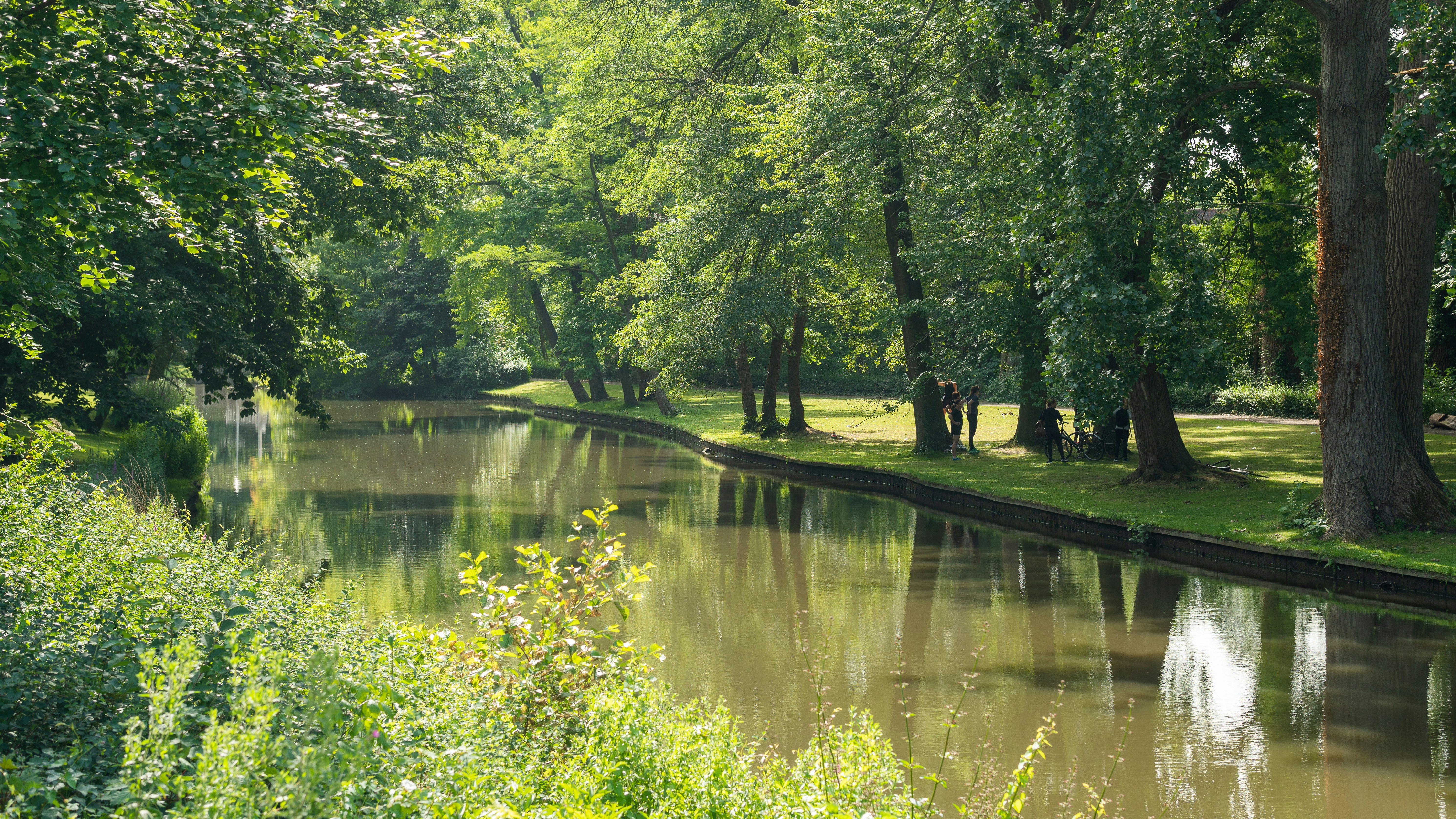 Photo by seifeddine_dridi