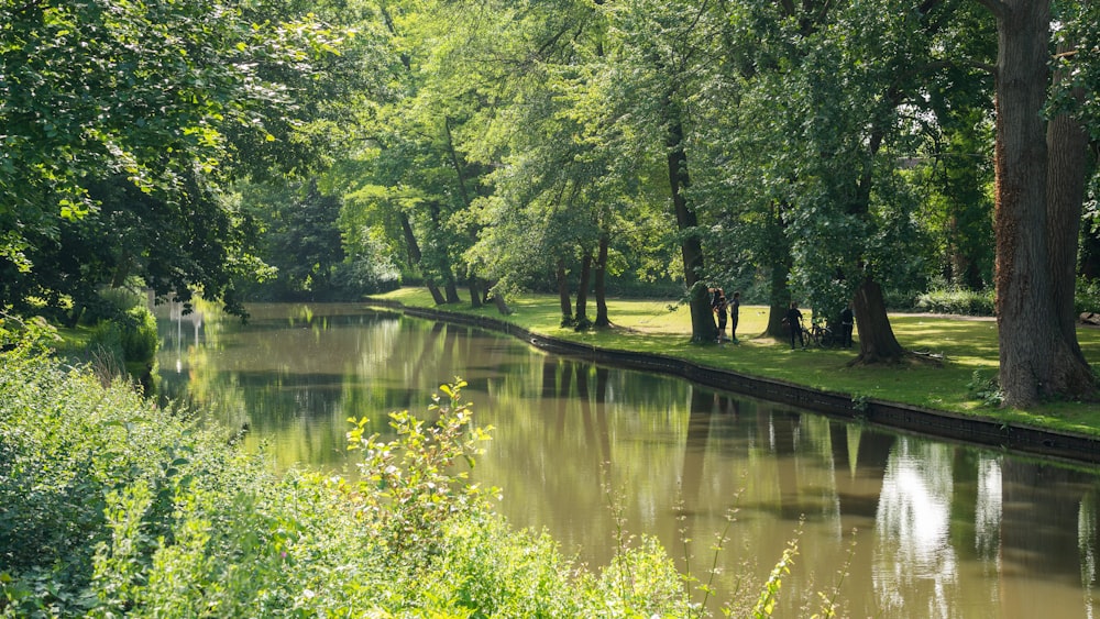 person walking on pathway near river during daytime