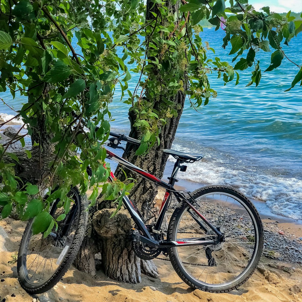 black and blue mountain bike parked beside green tree near sea during daytime