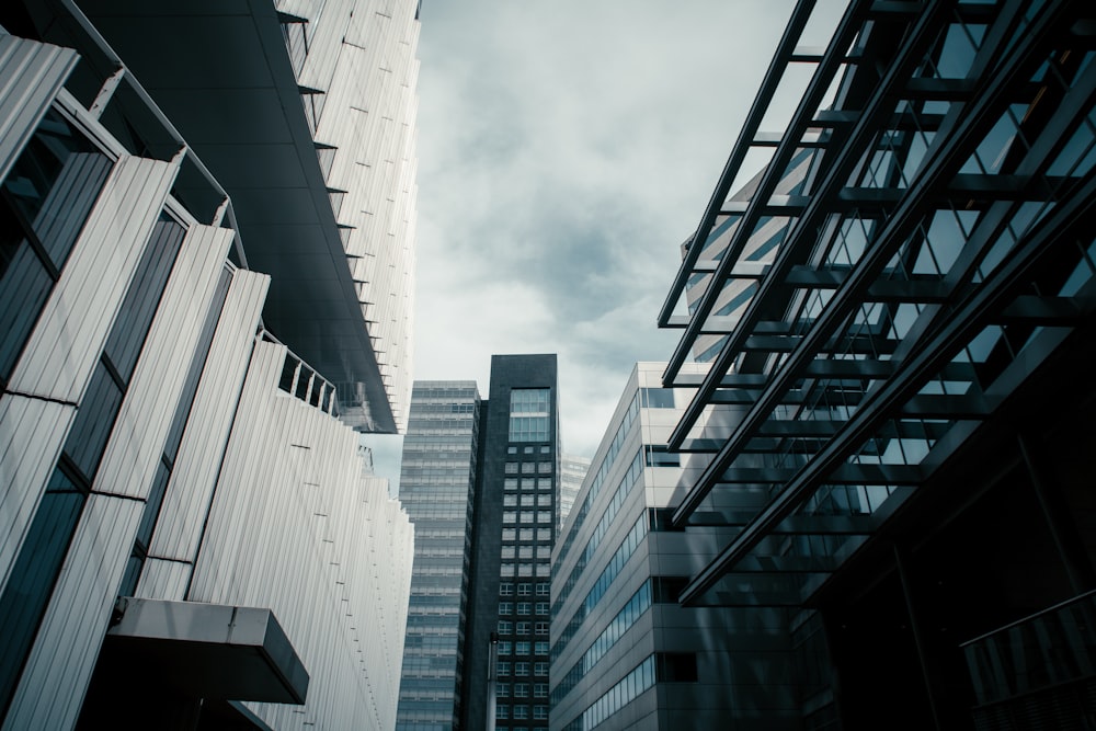 white and black concrete building