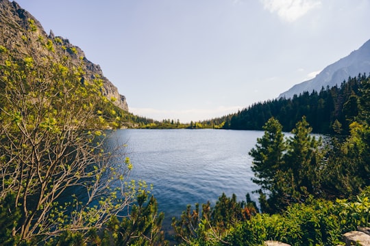 green trees beside lake under white sky during daytime in Popradské Pleso Slovakia