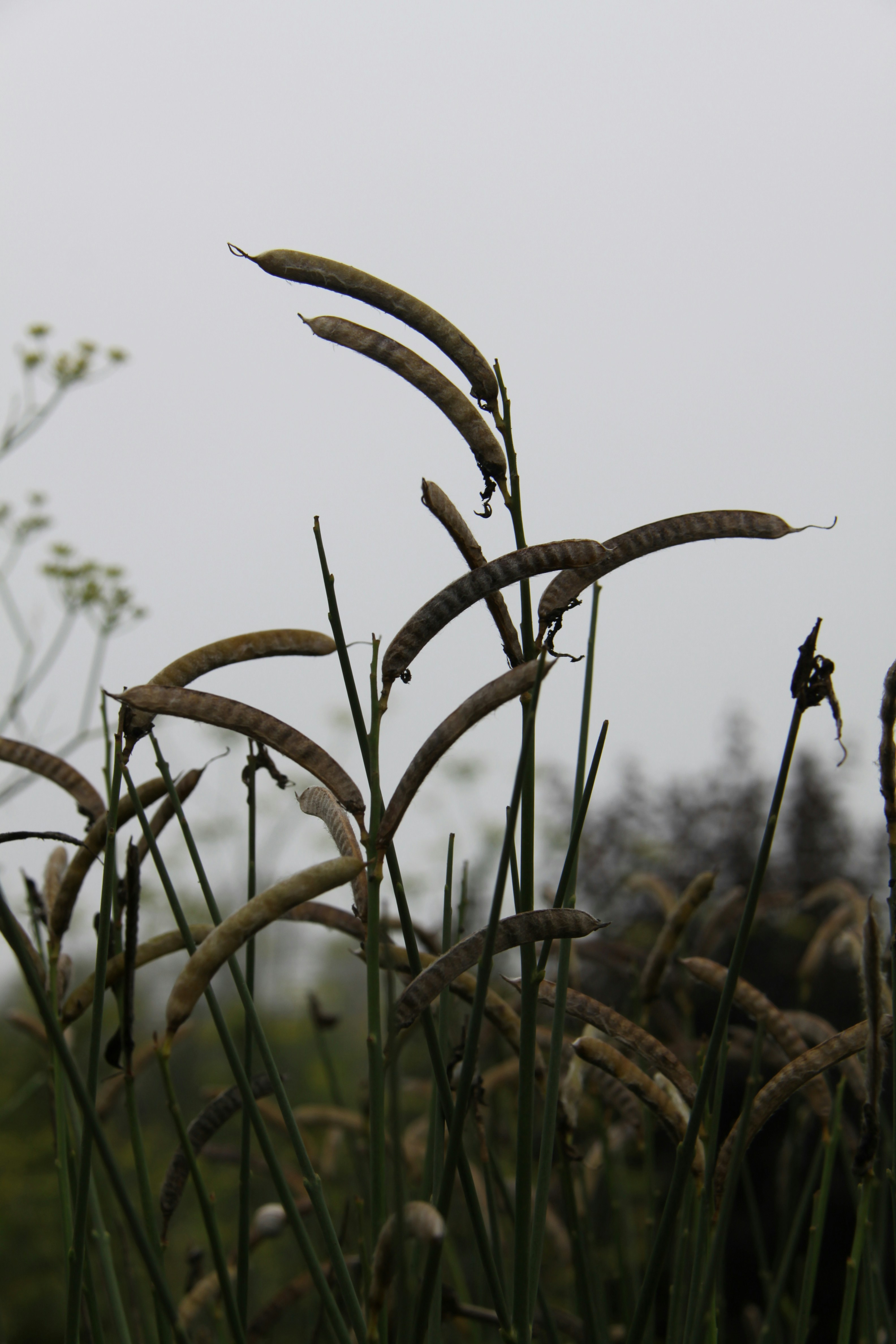 Photo by khadydemon7