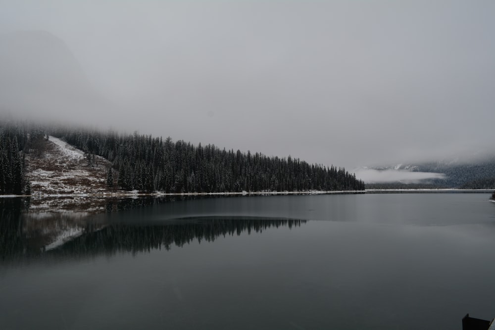 green trees beside lake under white sky during daytime