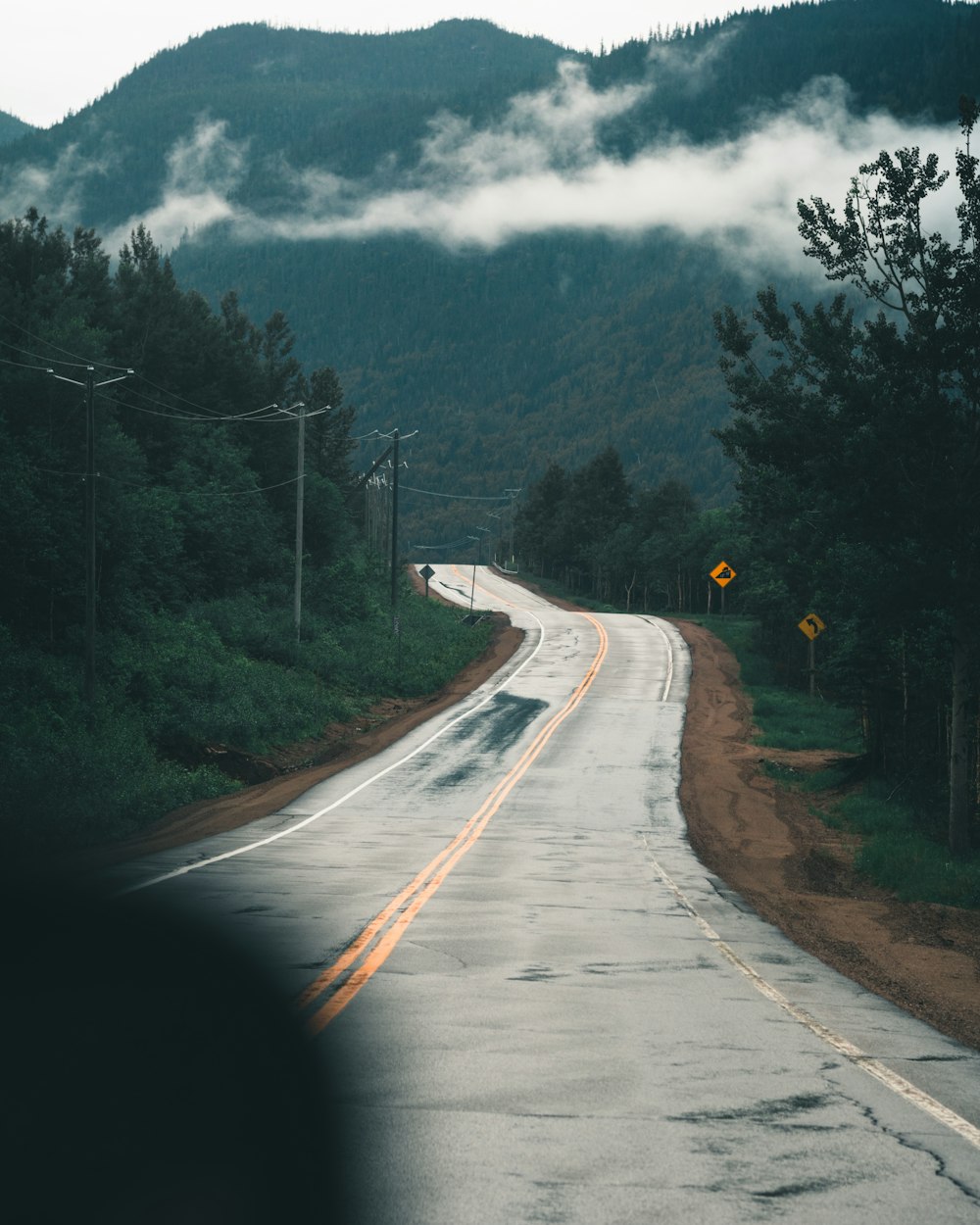 gray concrete road between green trees under white clouds during daytime