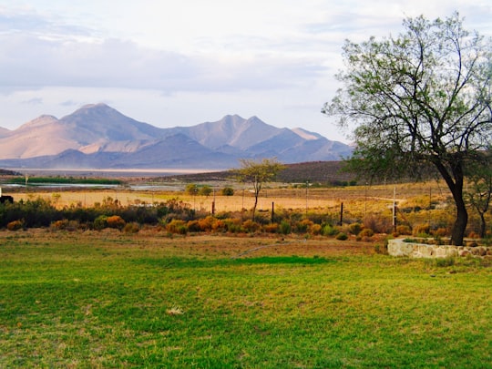 green grass field near brown mountain under white sky during daytime in Montagu South Africa