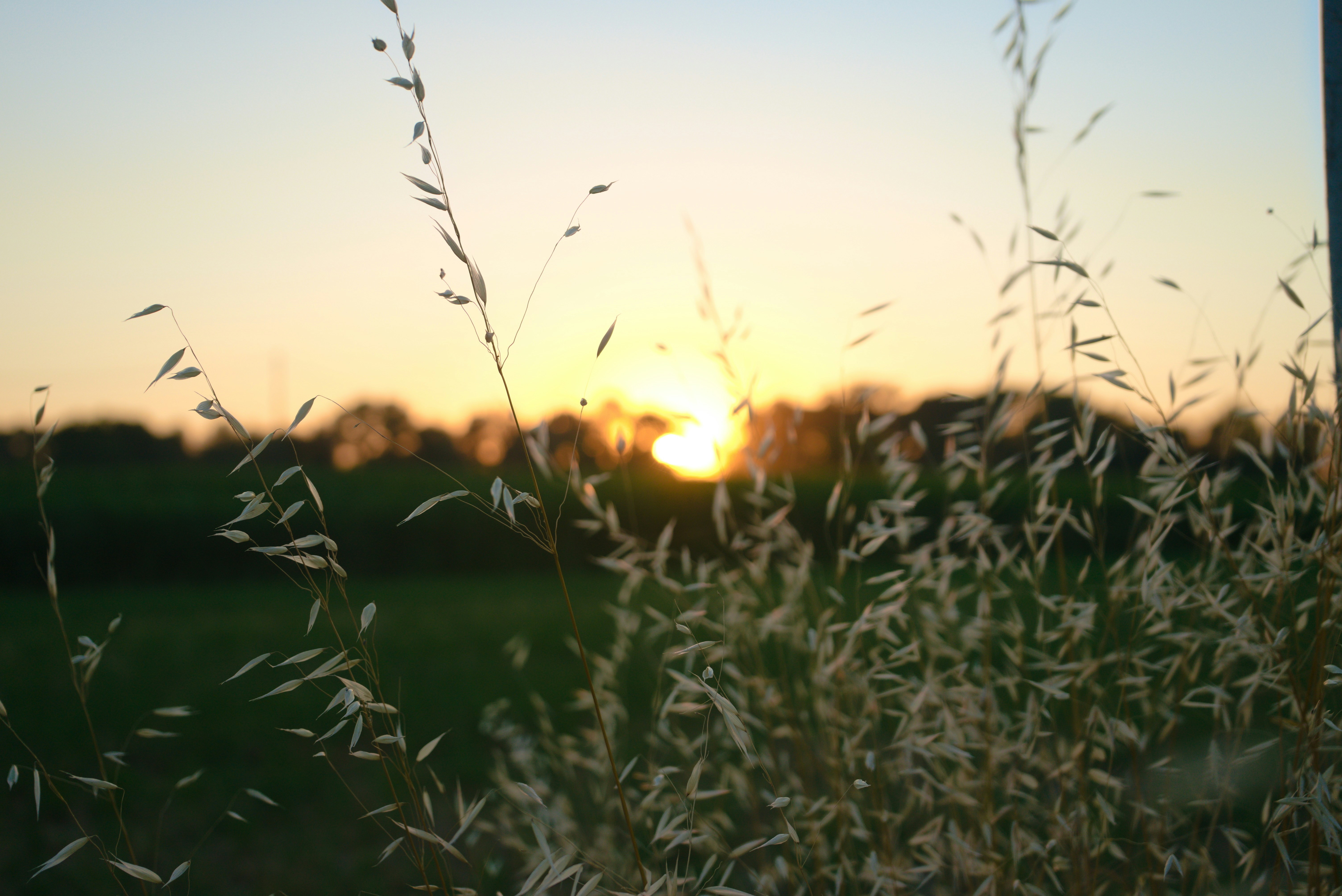 Photo by giovanni1304