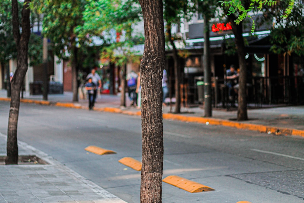 brown tree trunk on gray concrete road during daytime