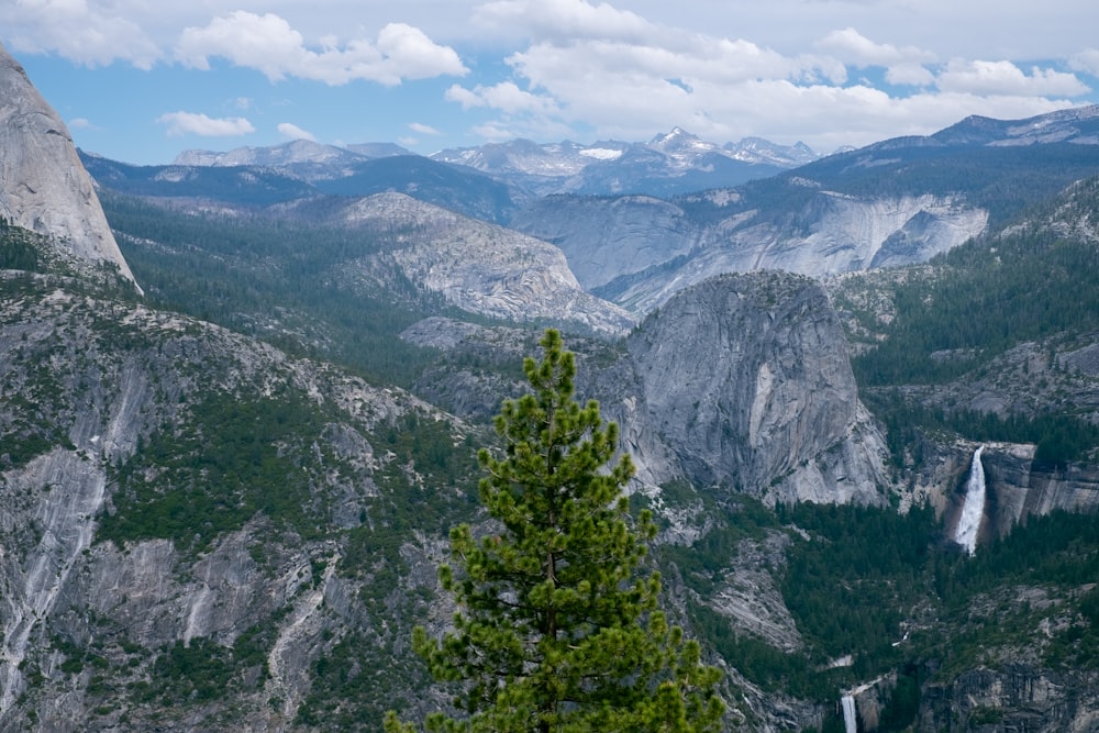 green trees on mountain during daytime