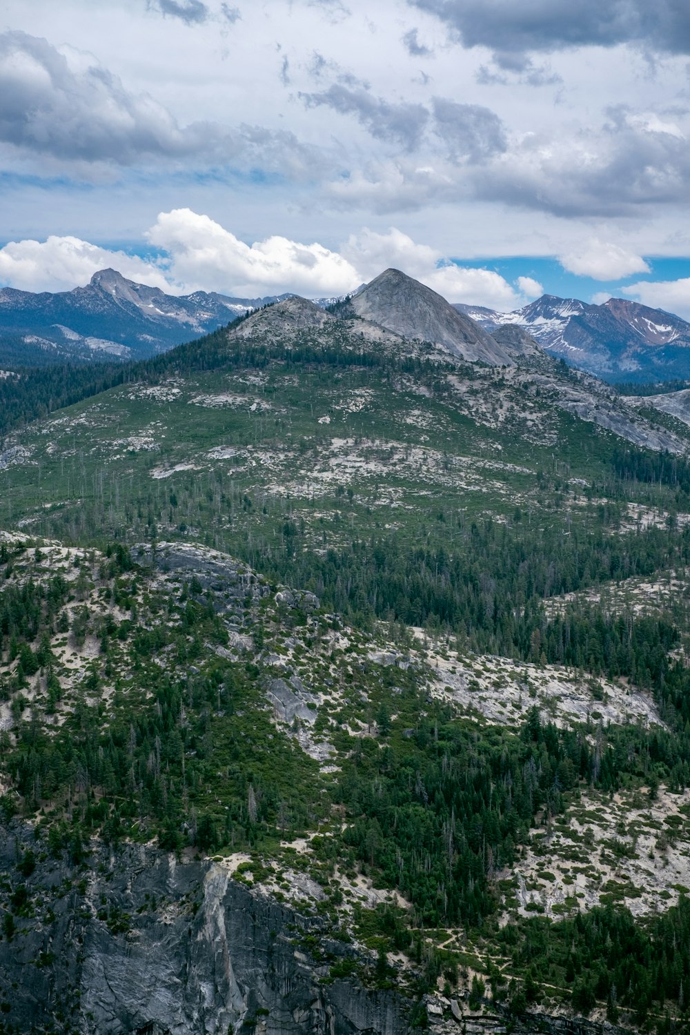 green trees on mountain during daytime