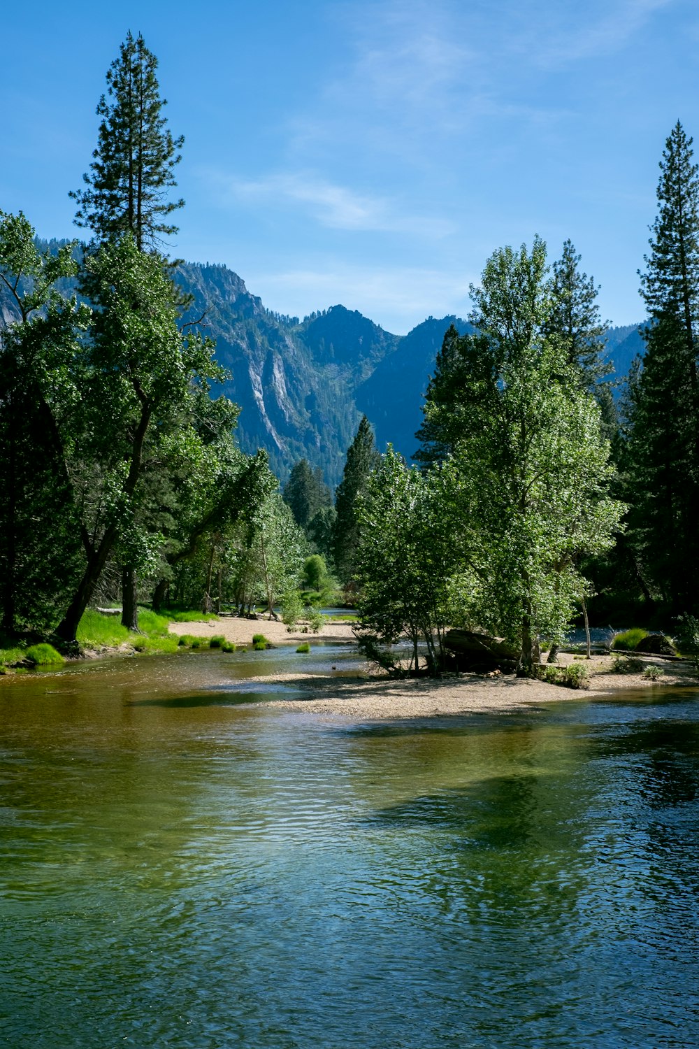 green trees near lake and mountain during daytime