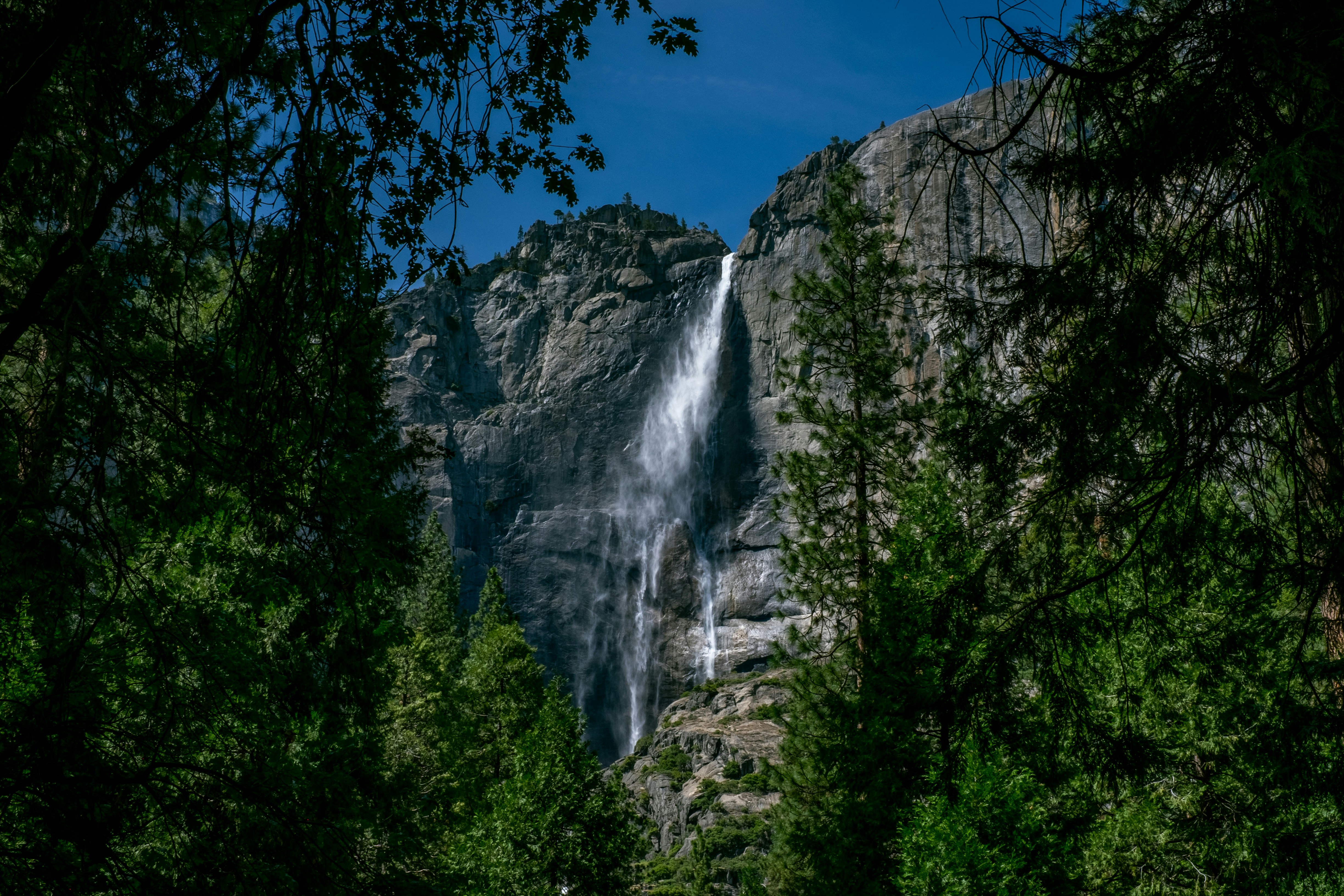 green trees near waterfalls under blue sky during daytime, 