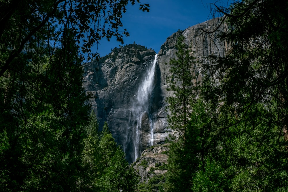 green trees near waterfalls under blue sky during daytime