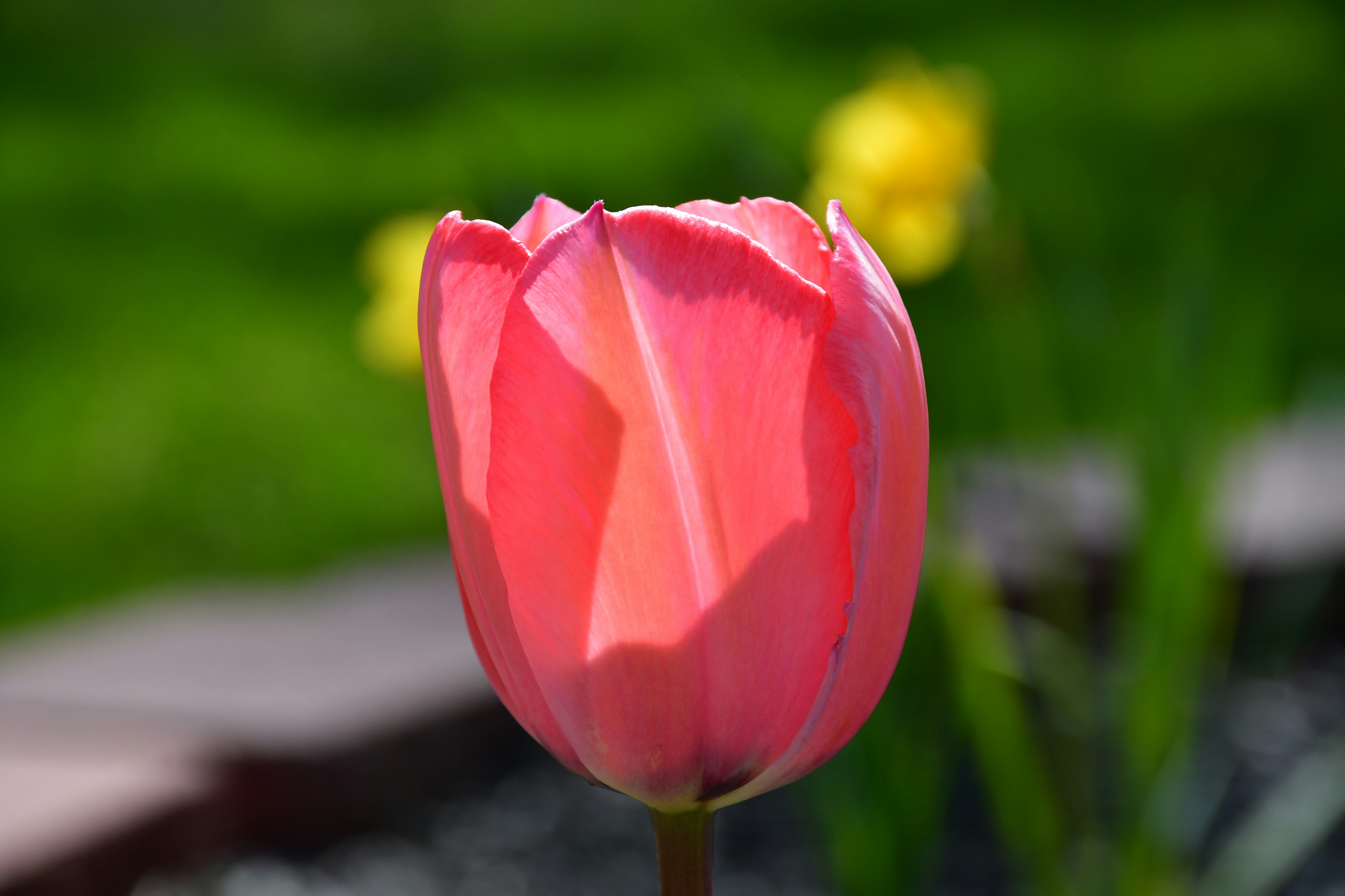 Photo by gospelexpress