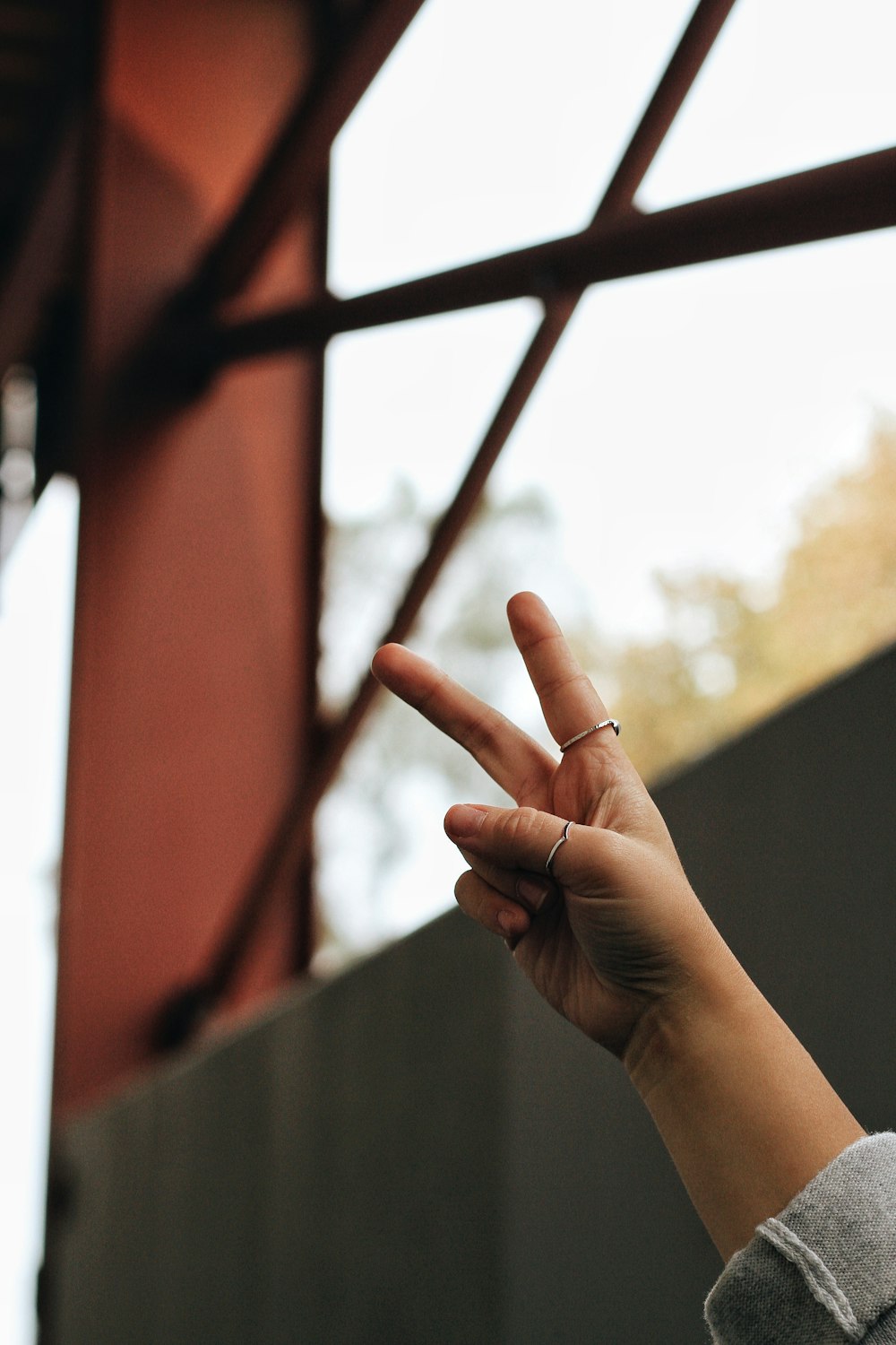 persons left hand doing middle finger gesture