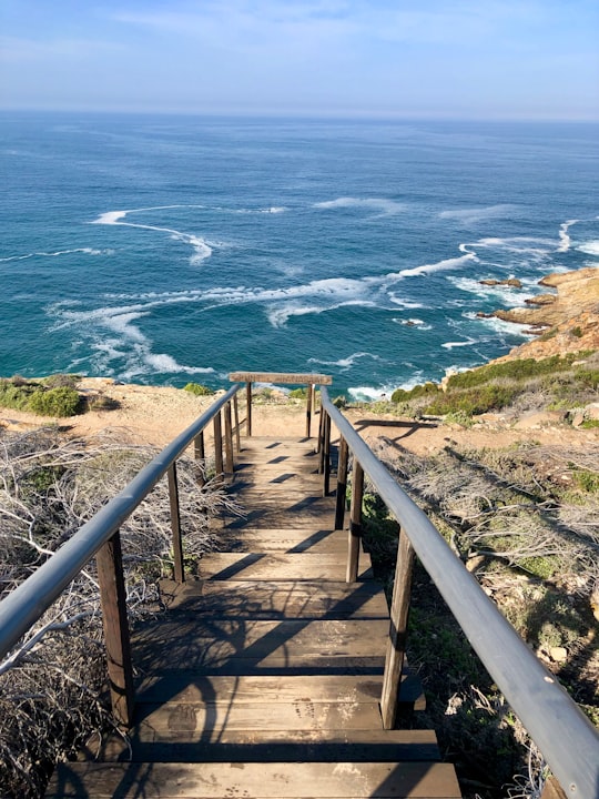 brown wooden staircase on seashore during daytime in Pinnacle Point South Africa