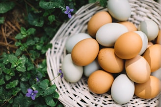 brown egg on white woven basket