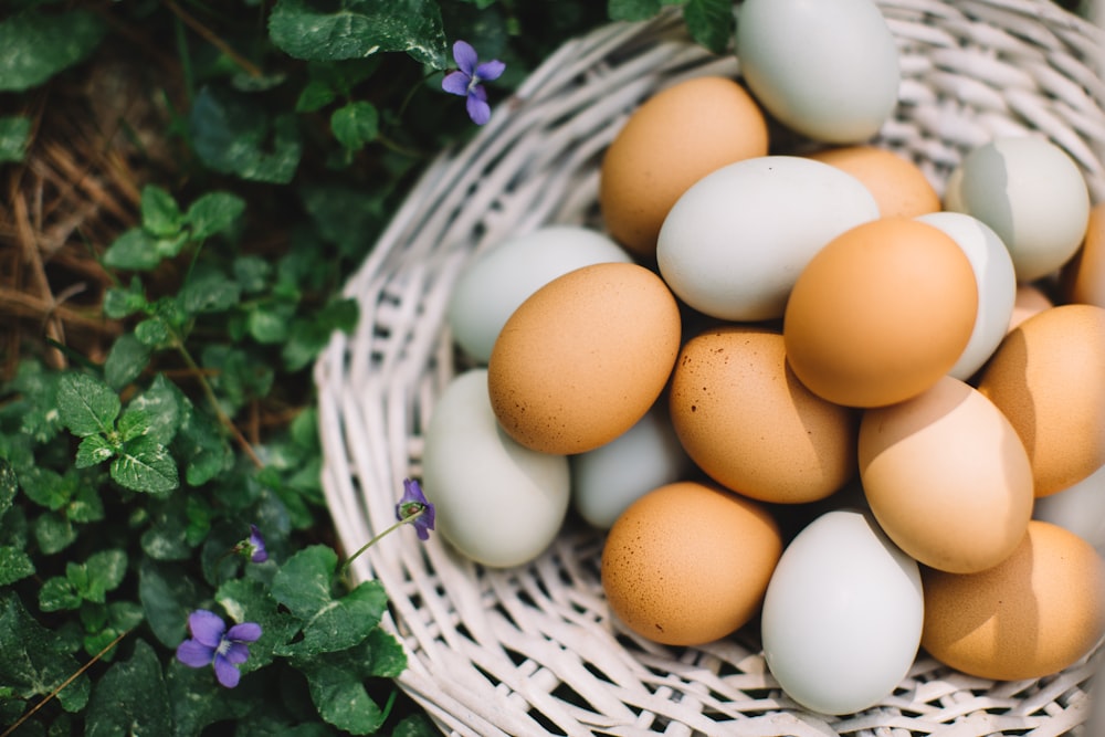 brown egg on white woven basket