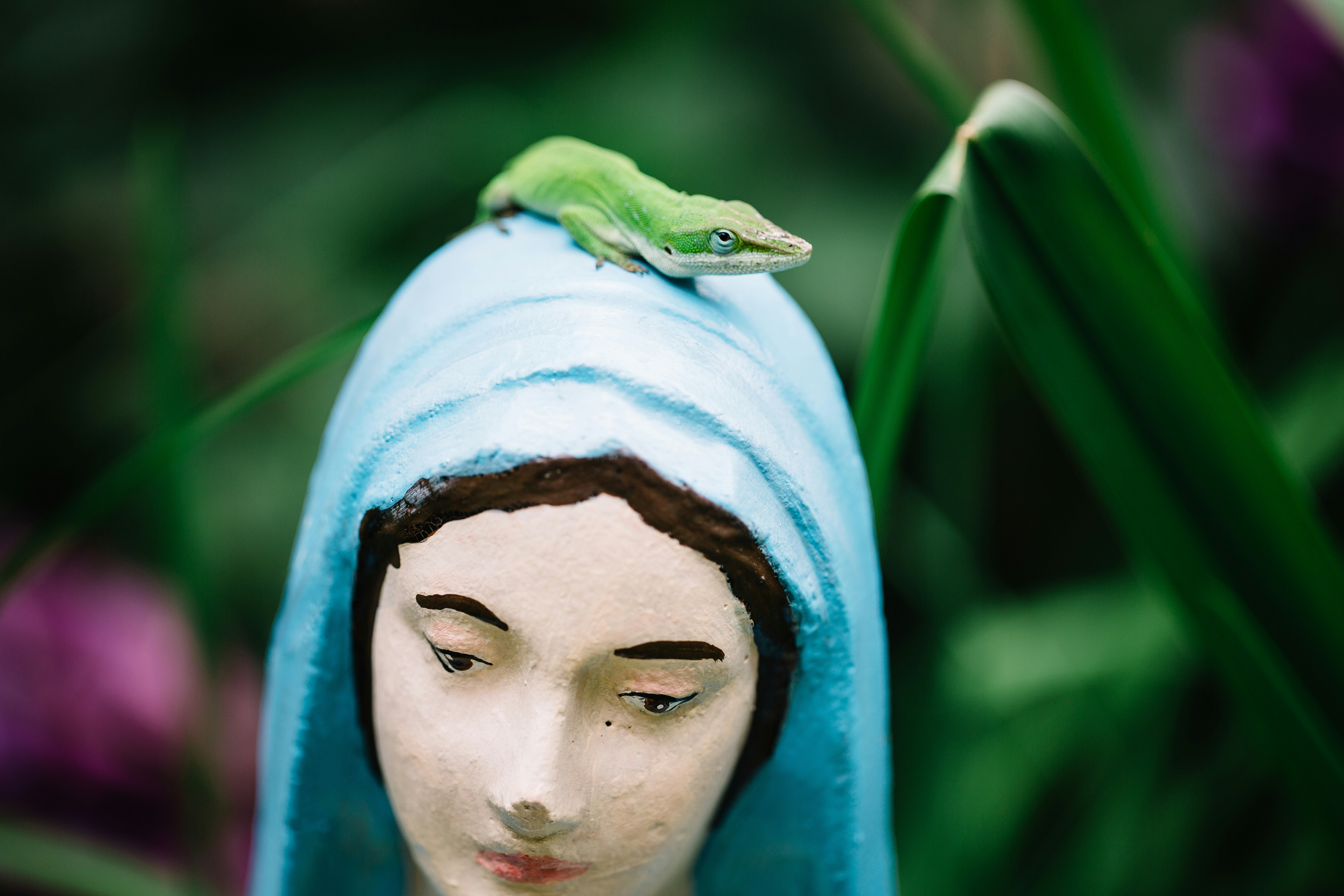 green frog on white textile
