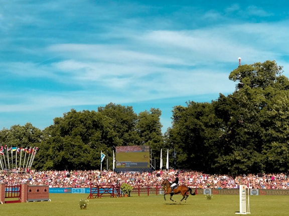 A large outdoor equestrian event is taking place in a field surrounded by thick green trees under a bright blue sky. A horse and rider are mid-jump over an obstacle, with a crowd of spectators in the background. Various flags are waving next to the stands, and a large screen displaying event information is visible.