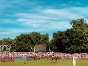 A large outdoor equestrian event is taking place in a field surrounded by thick green trees under a bright blue sky. A horse and rider are mid-jump over an obstacle, with a crowd of spectators in the background. Various flags are waving next to the stands, and a large screen displaying event information is visible.