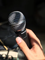 person holding black and silver microphone