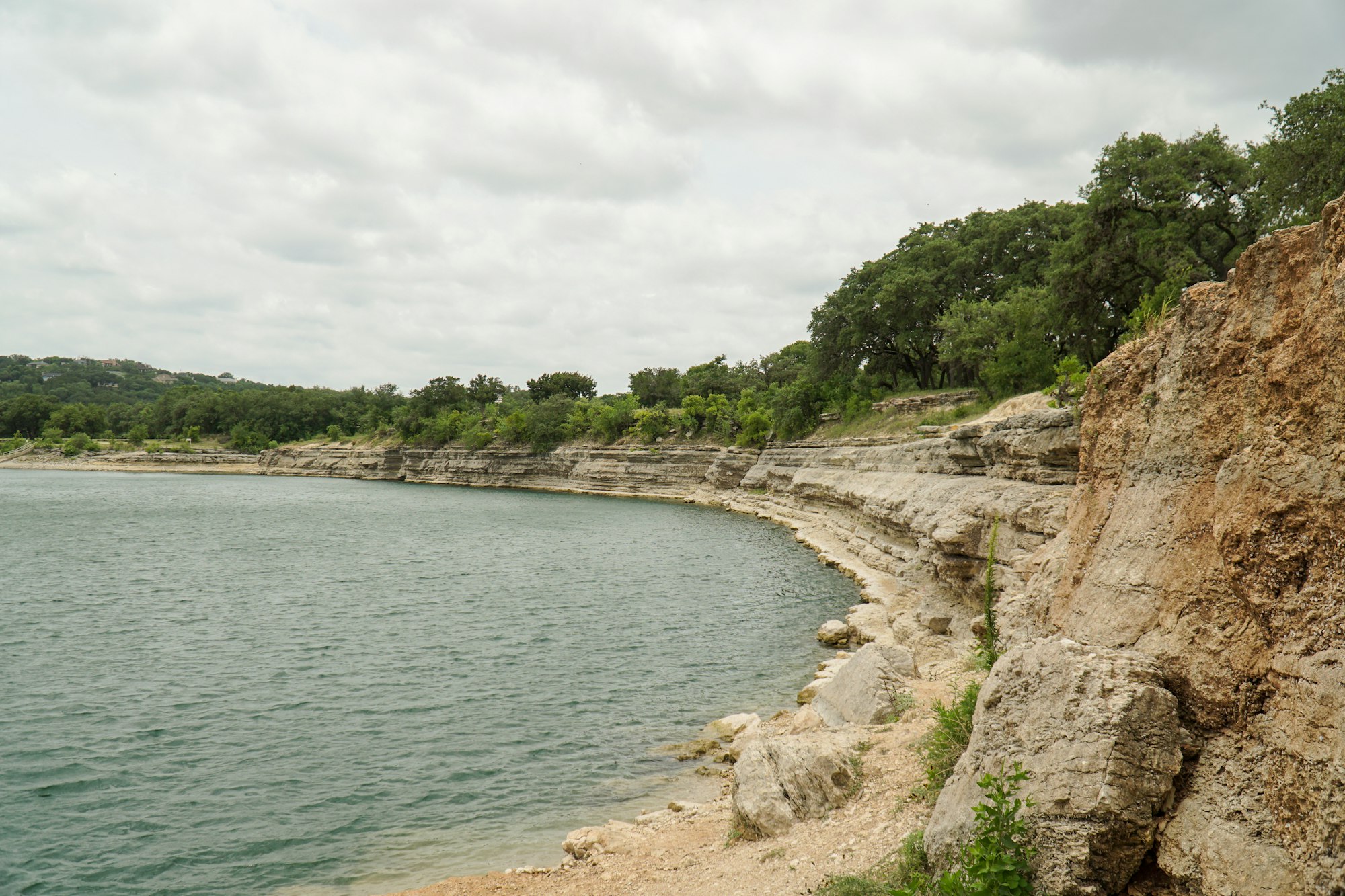 Live oaks beside Hill Country water