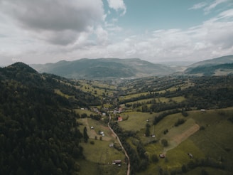 Aerial view of homes nestled in a green valley landscape.