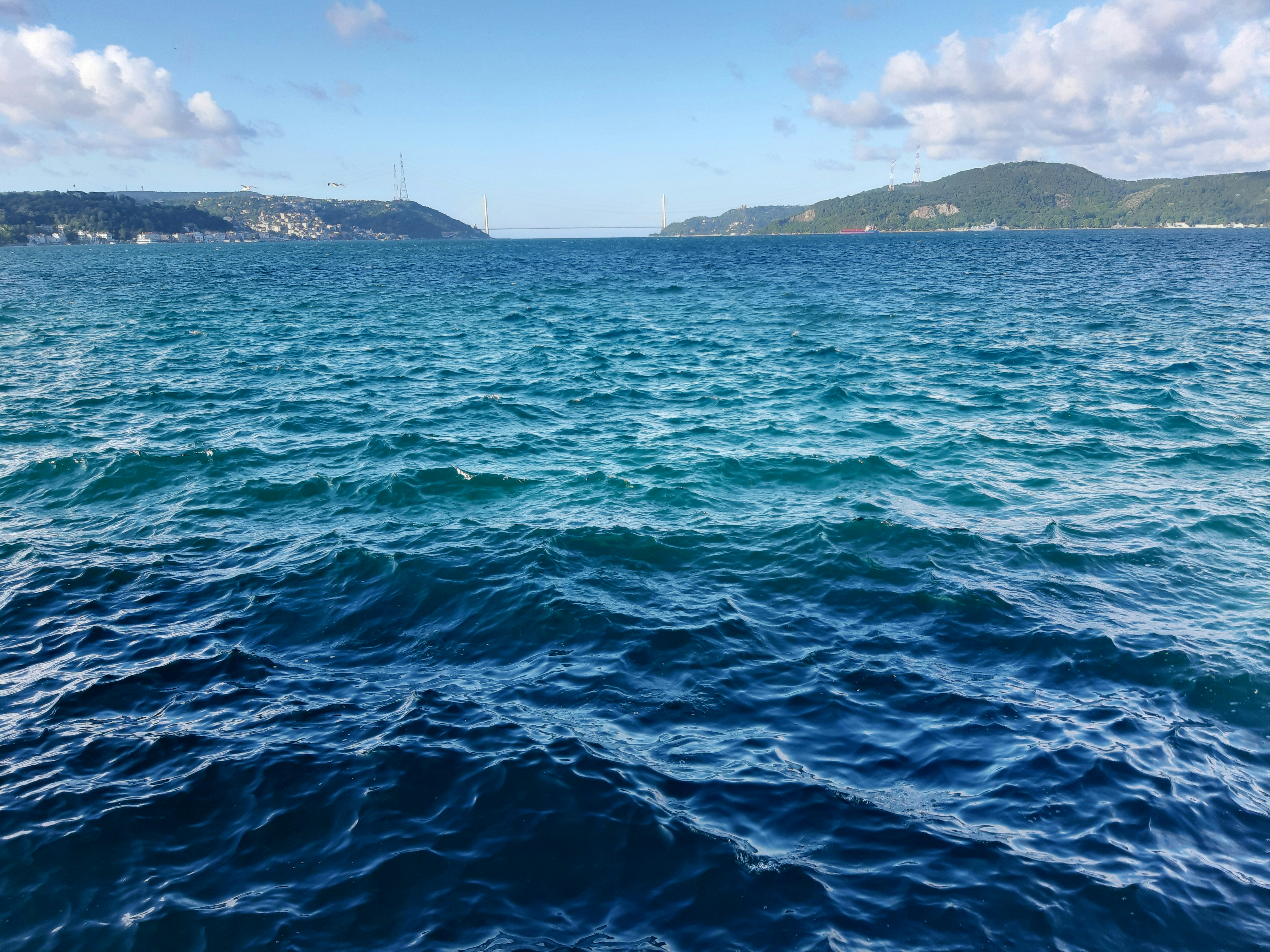 Photo by sudesoyluturk