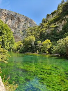 Researchers collecting water samples in a lush river environment