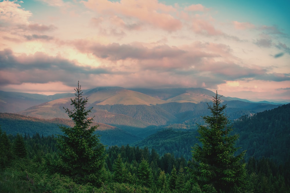 green trees and mountains under white clouds and blue sky during daytime