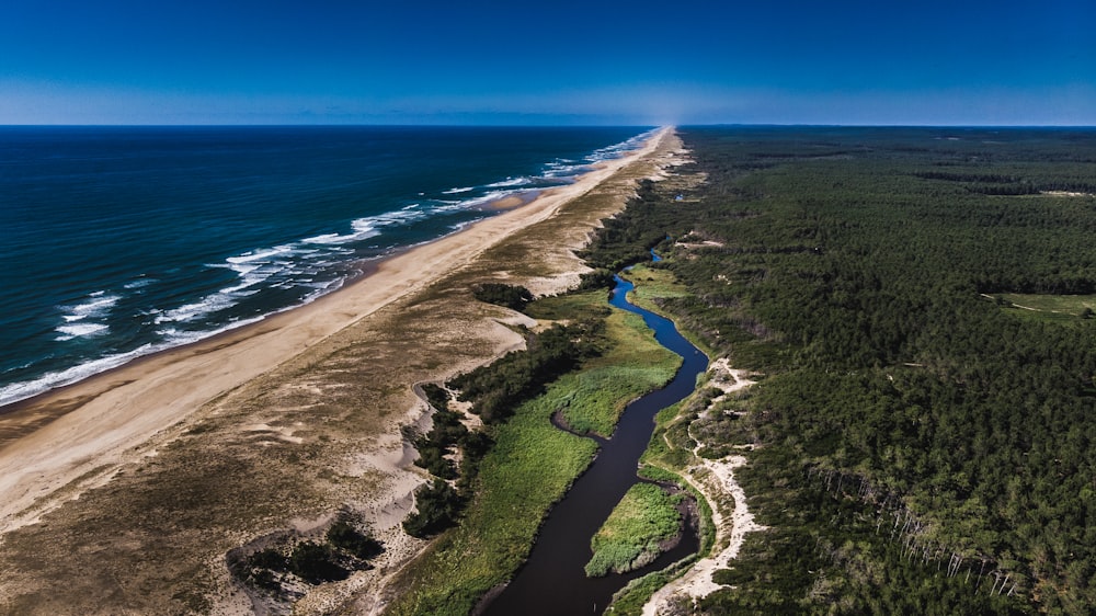 aerial view of green trees and body of water during daytime