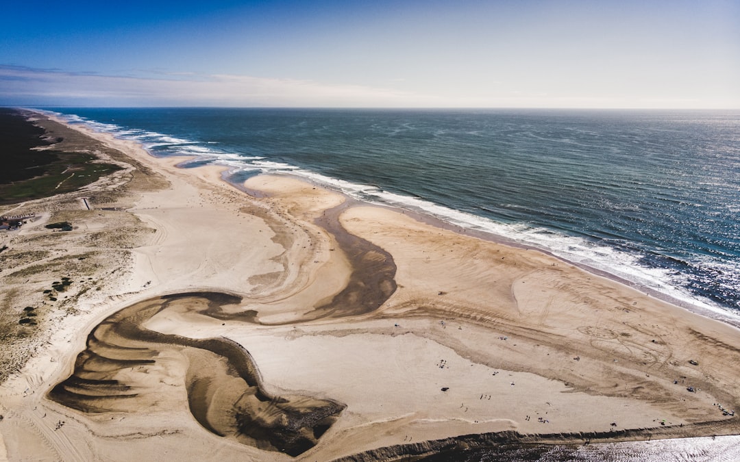 brown sand beach during daytime