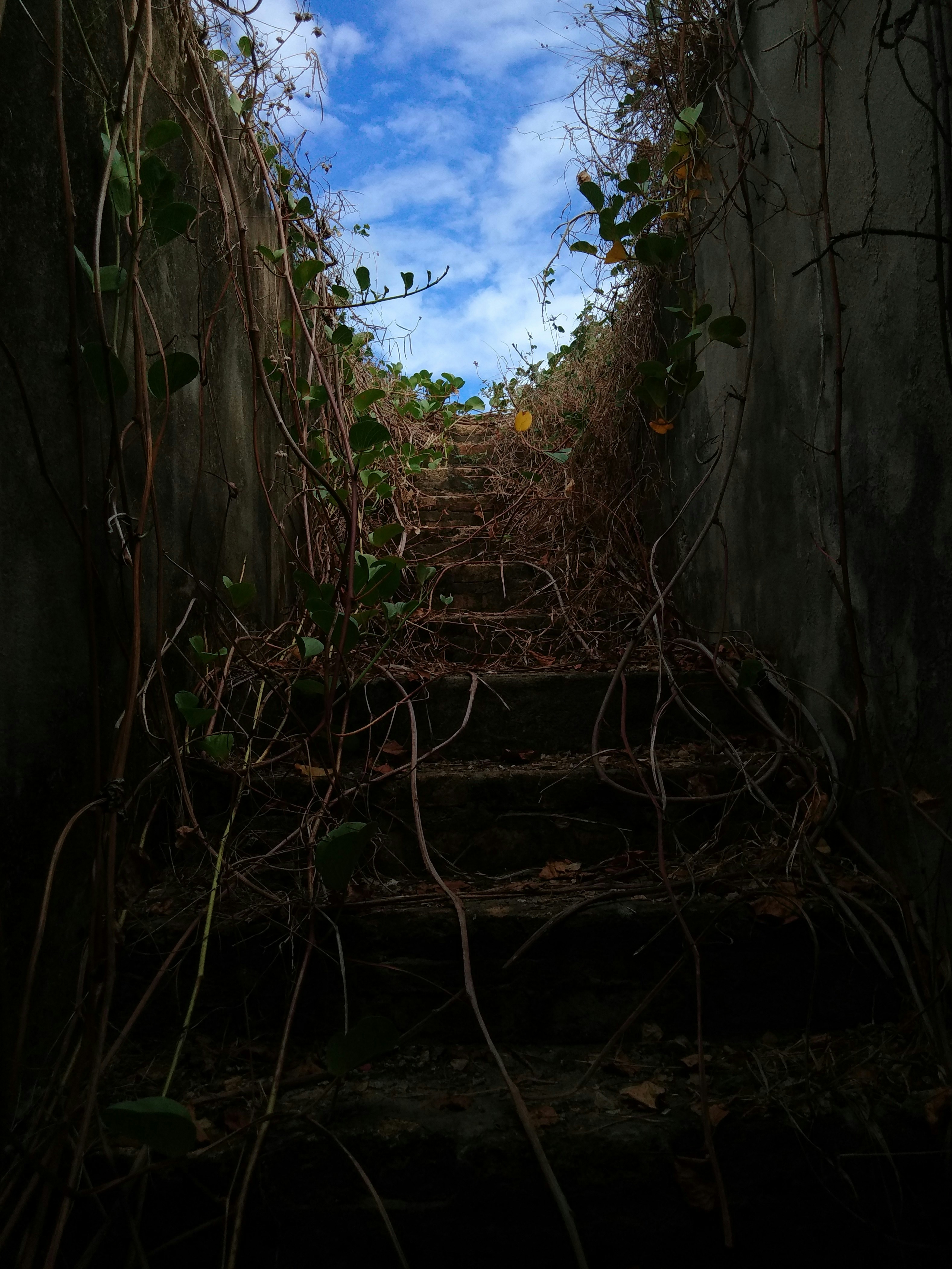 Photo by evecarvalho