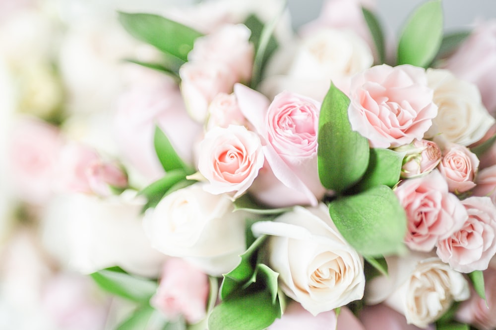 Bạn muốn tìm những bức ảnh hoa cưới đẹp để trang trí cho ngày đặc biệt của mình? Hãy tải về những bức ảnh hoa cưới miễn phí từ bộ sưu tập của chúng tôi. Những hình ảnh tinh tế, đường nét mềm mại của hoa cưới sẽ làm cho ngày của bạn trở nên đẹp mê hồn. 