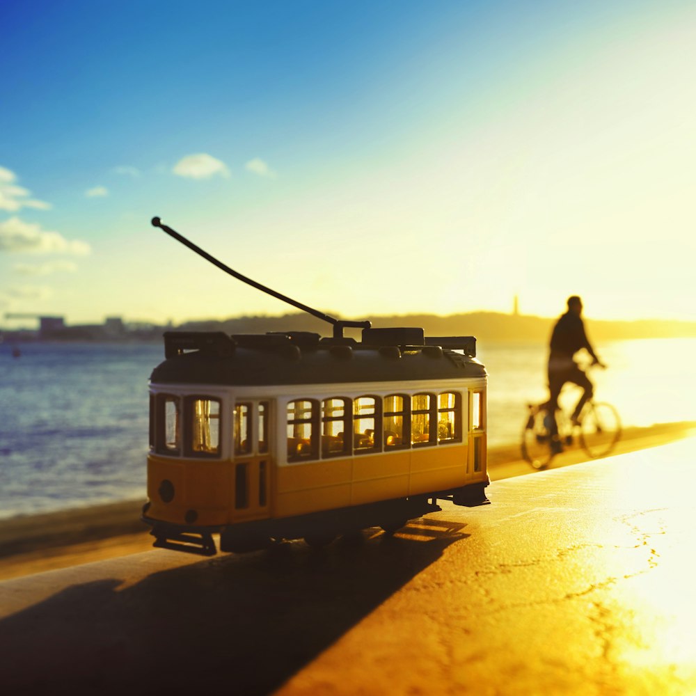 brown and black train on the beach during sunset