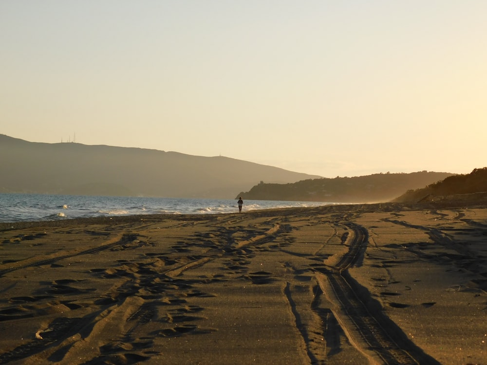 person standing on brown sand near body of water during daytime