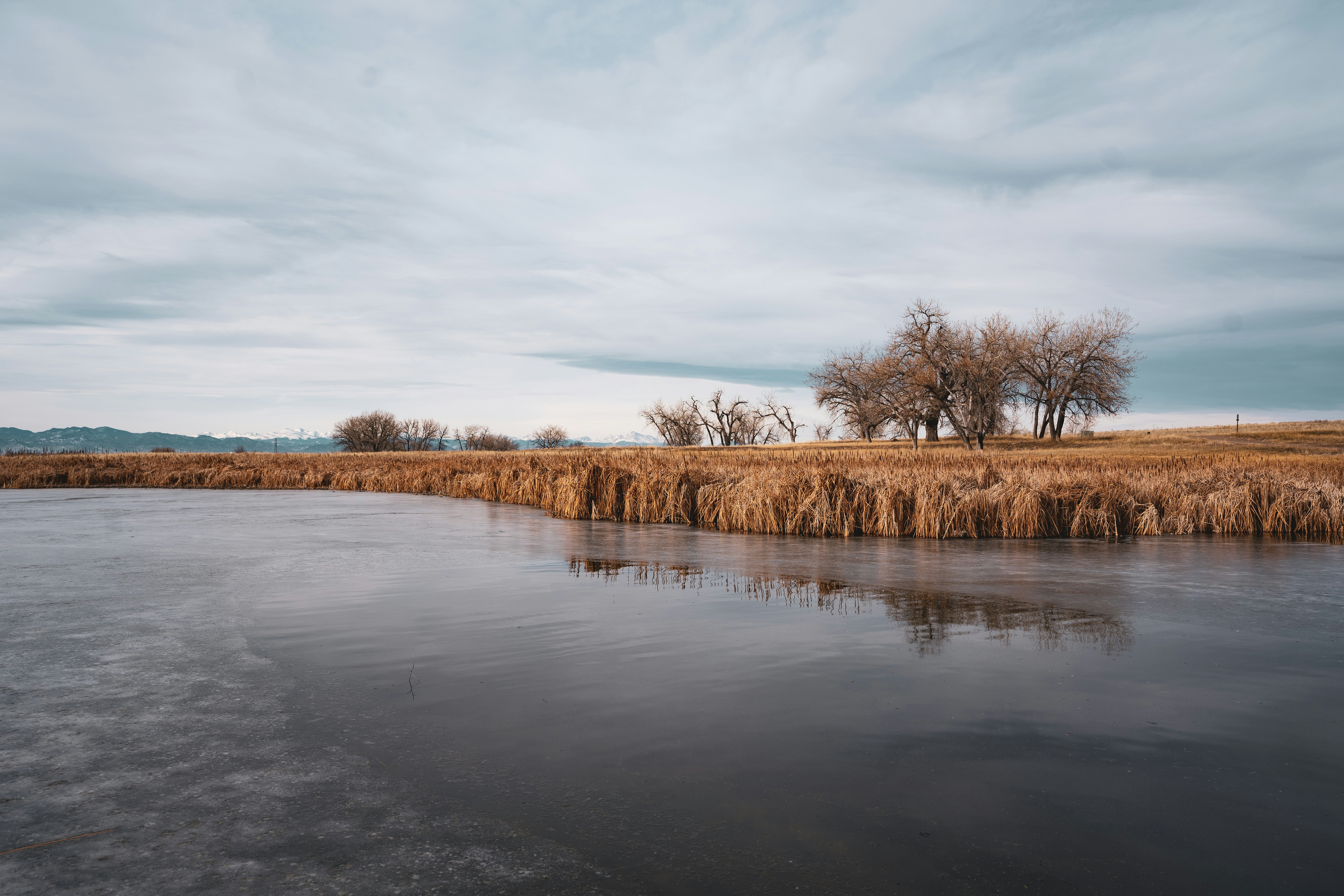 Photo by davidirelandmagnetic