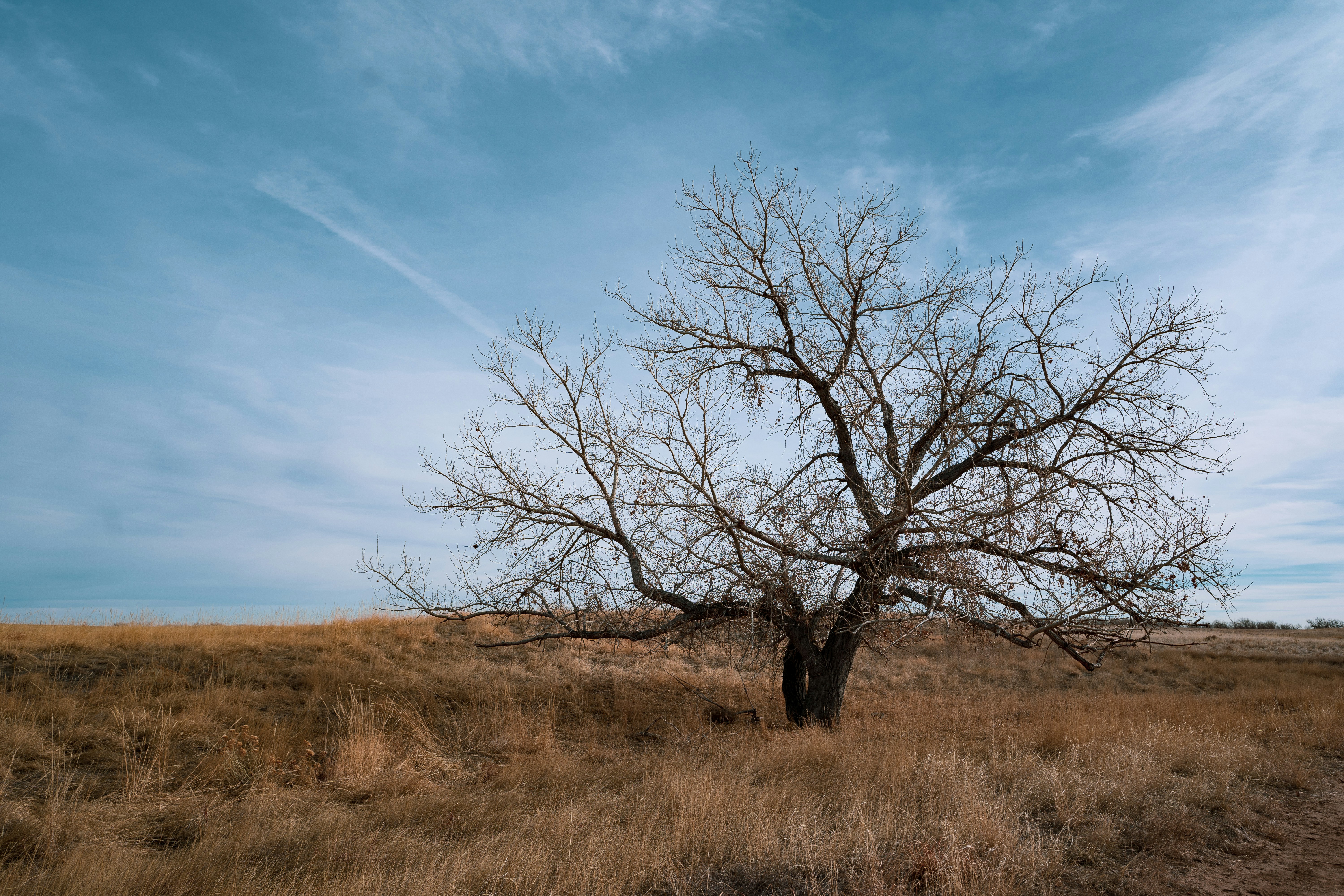 Photo by davidirelandmagnetic