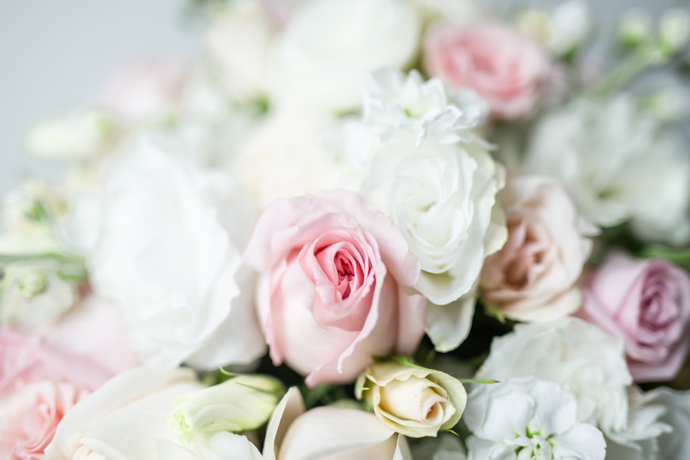 pink and white roses bouquet