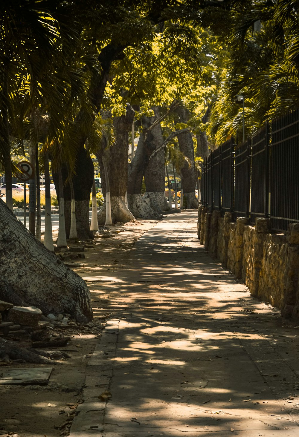 brown wooden fence near green trees during daytime