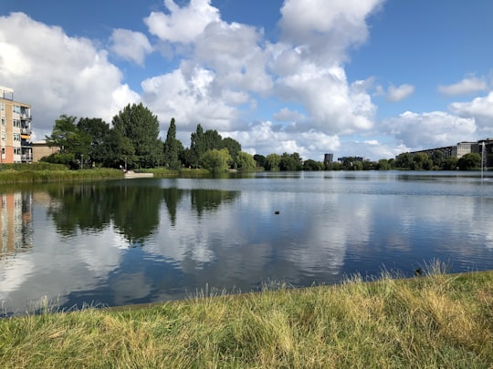 photo of Gammel Kongevej Reservoir near Copenhagen