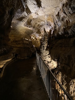 A dimly lit cave interior featuring textured rocky walls and an intricate ceiling illuminated by soft yellow lighting. A metallic railing runs along a smooth, wet pathway, adding a sense of depth and guiding the visual focus deeper into the cave.