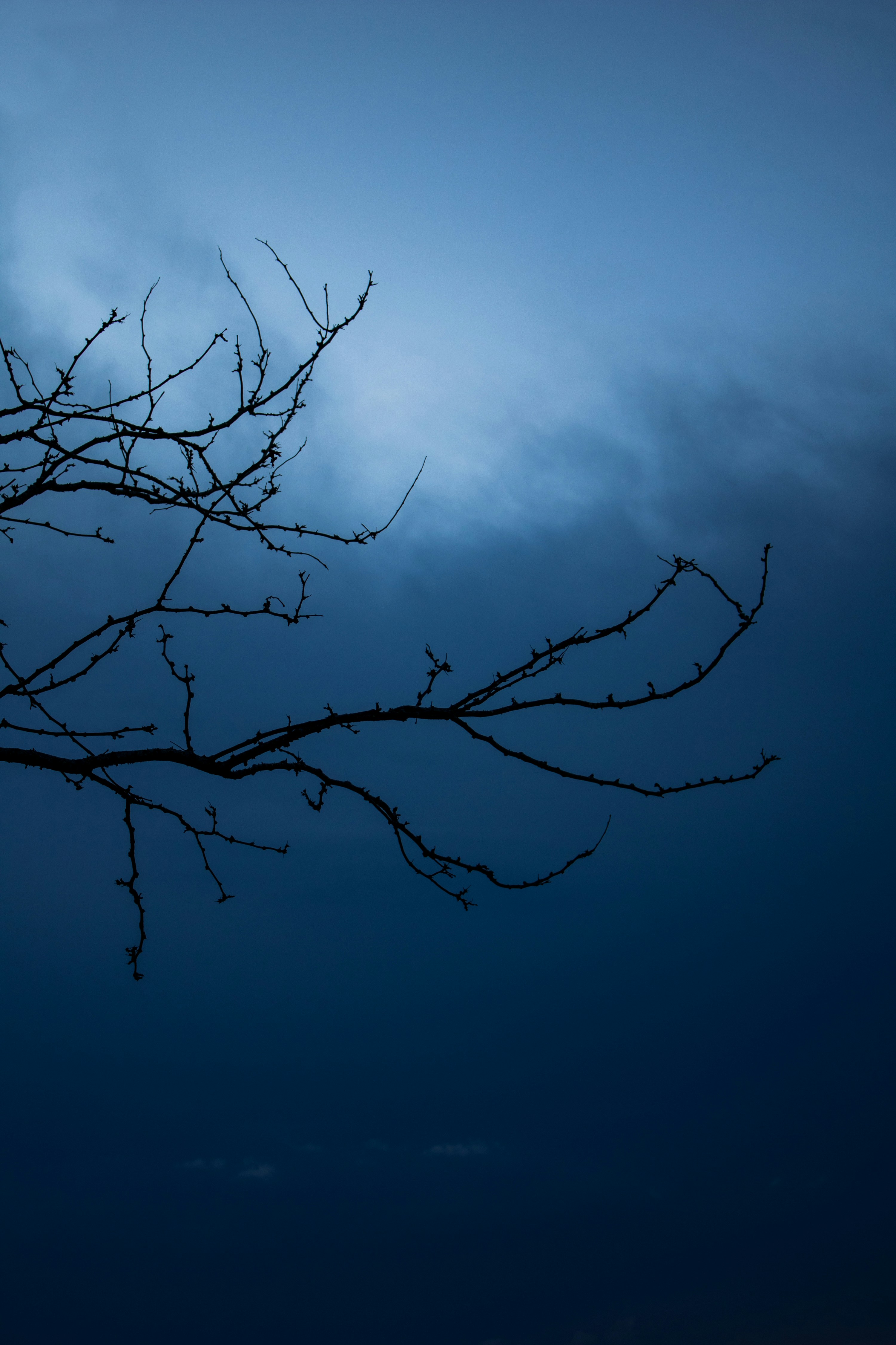 Photo by farshadrezvanian