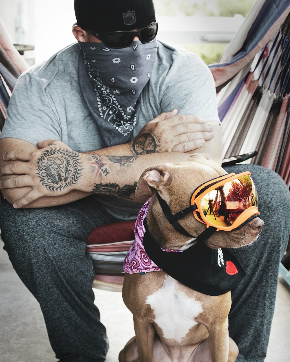 man in gray sweater and blue denim jeans with brown and white short coated dog wearing