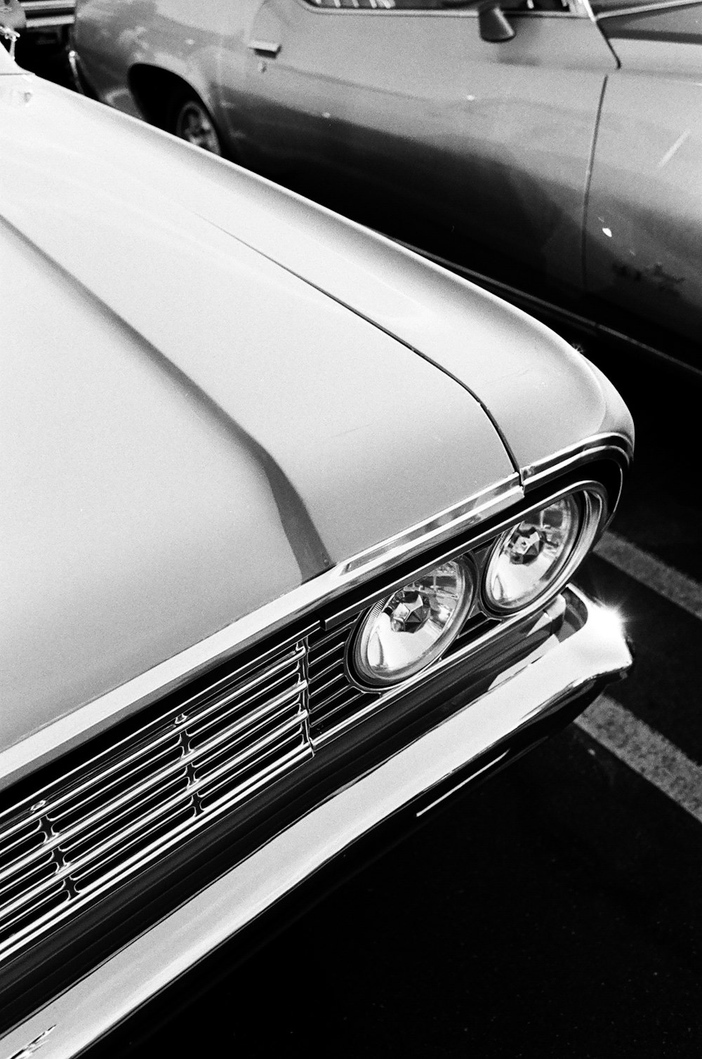 white car with white and black license plate