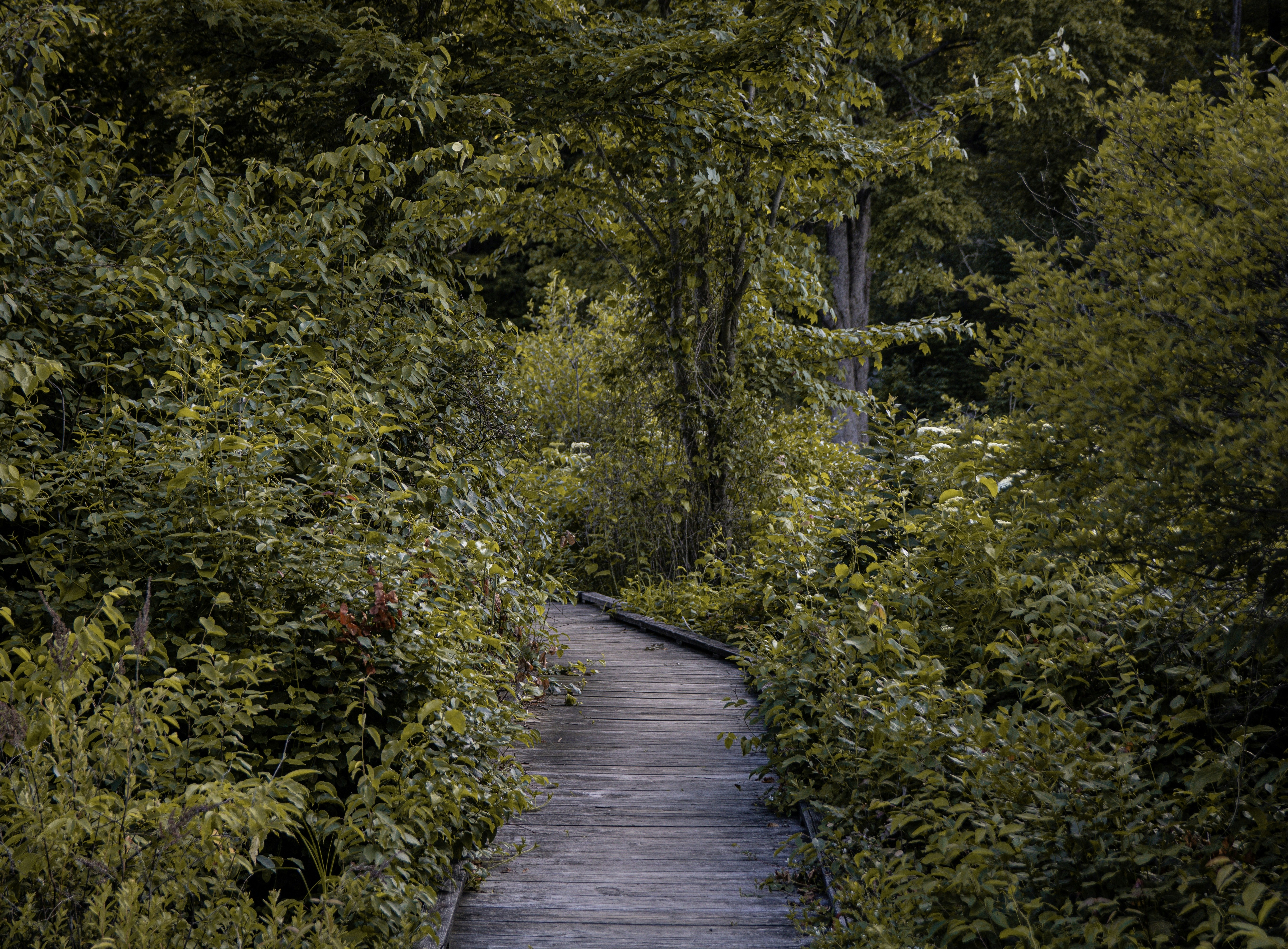 Photo by shafferluke