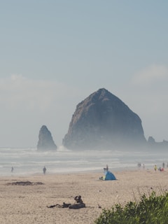 A sandy beach with scattered people enjoying leisurely activities. In the background, large rock formations rise from the ocean, with waves crashing gently against them. A small blue tent and a beachgoer with a dog are in the foreground.