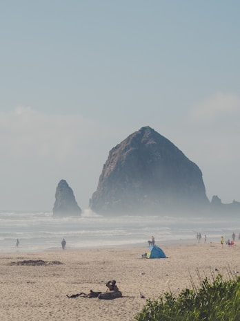A sandy beach with scattered people enjoying leisurely activities. In the background, large rock formations rise from the ocean, with waves crashing gently against them. A small blue tent and a beachgoer with a dog are in the foreground.